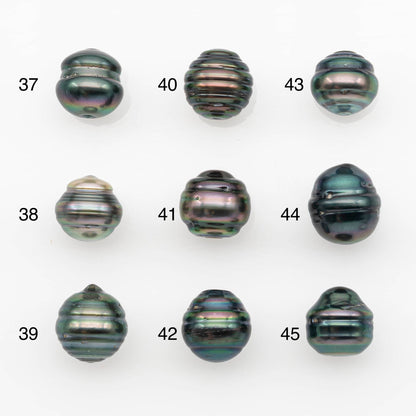 10-11mm Tahitian Pearl, Loose Undrilled with High Luster and for Jewelry Making, SKU # 2701TH