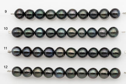 10-11mm Tahitian Pearl Short Strand, Near Round with High Luster and Natural Surface Variations, SKU # 2705TH