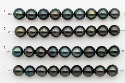 11-12mm Tahitian Pearl Short Strand, Near Round with High Luster and Natural Surface Variations, SKU # 2707TH