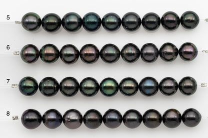11-12mm Tahitian Pearl Short Strand, Near Round with High Luster and Natural Surface Variations, SKU # 2707TH
