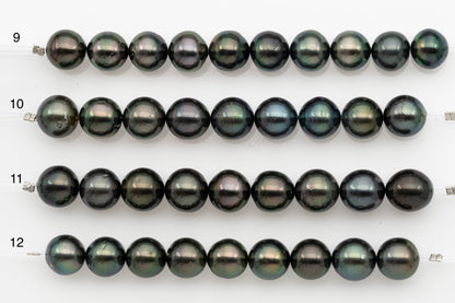 11-12mm Tahitian Pearl Short Strand, Near Round with High Luster and Natural Surface Variations, SKU # 2707TH