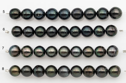 11-12mm Tahitian Pearl Short Strand, Near Round with High Luster and Natural Surface Variations, SKU # 2708TH