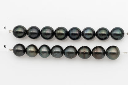 12-13mm Tahitian Pearl Short Strand, Near Round with High Luster and Natural Surface Variations, SKU # 2709TH
