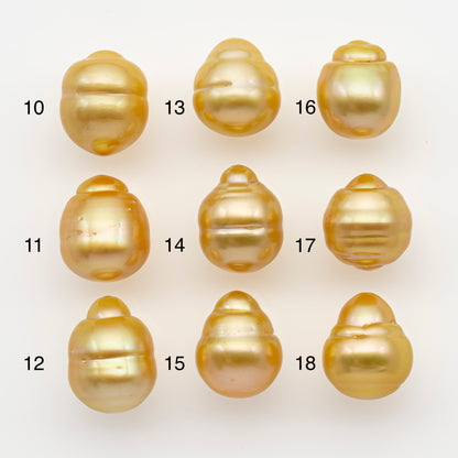 11-12mm South Sea Pearl in Natural Gold Color, Loose Drop Shape, Undrilled for Jewelry Making, SKU # 2721GS