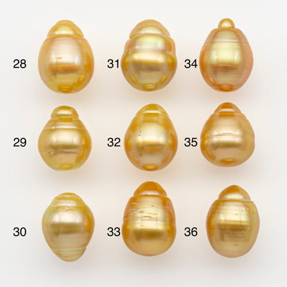 11-12mm South Sea Pearl in Natural Gold Color, Loose Drop Shape, Undrilled for Jewelry Making, SKU # 2721GS