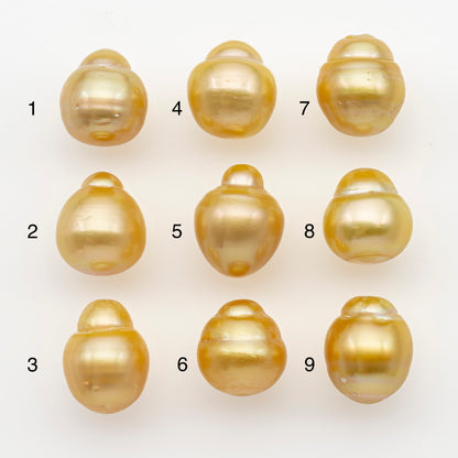 11-12mm South Sea Pearl in Natural Gold Color, Loose Drop Shape, Undrilled for Jewelry Making, SKU # 2724GS