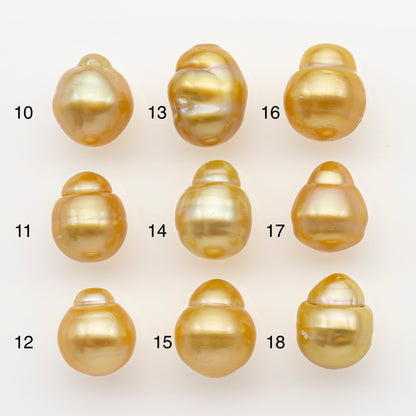 11-12mm South Sea Pearl in Natural Gold Color, Loose Drop Shape, Undrilled for Jewelry Making, SKU # 2725GS