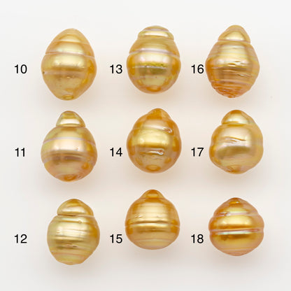 11-12mm South Sea Pearl in Natural Gold Color, Loose Drop Shape, Undrilled for Jewelry Making, SKU # 2727GS