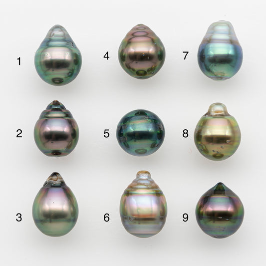 10-11mm Tahitian Pearl, Loose Undrilled with High Luster and for Jewelry Making, SKU # 2731TH