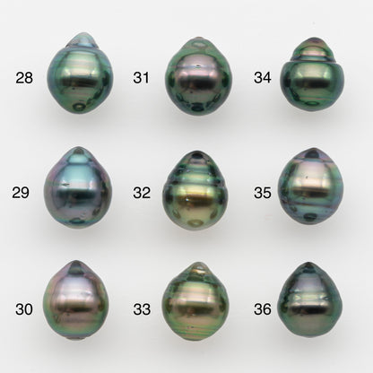 10-11mm Tahitian Pearl, Loose Undrilled with High Luster and for Jewelry Making, SKU # 2731TH
