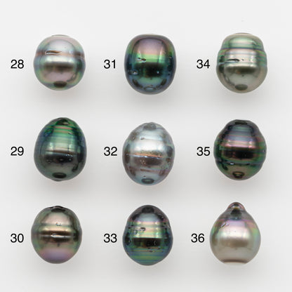10-11mm Tahitian Pearl, Loose Undrilled with High Luster and for Jewelry Making, SKU # 2732TH