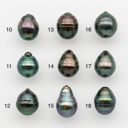 10-11mm Tahitian Pearl, Loose Undrilled with High Luster and for Jewelry Making, SKU # 2733TH