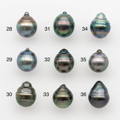 10-11mm Tahitian Pearl, Loose Undrilled with High Luster and for Jewelry Making, SKU # 2733TH