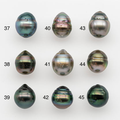 10-11mm Tahitian Pearl, Loose Undrilled with High Luster and for Jewelry Making, SKU # 2733TH