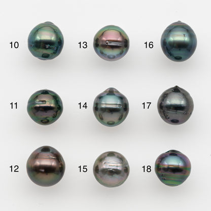10-11mm Tahitian Pearl, Loose Undrilled with High Luster and for Jewelry Making, SKU # 2734TH