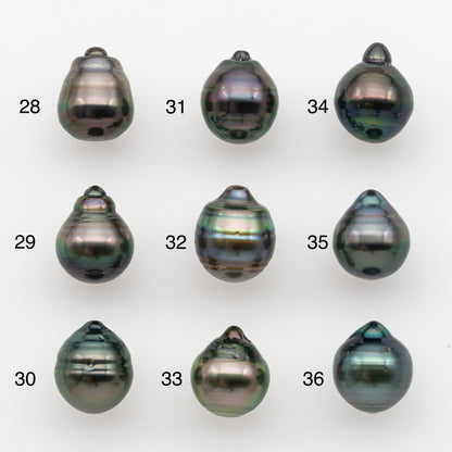 10-11mm Tahitian Pearl, Loose Undrilled with High Luster and for Jewelry Making, SKU # 2734TH