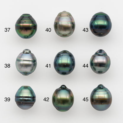 10-11mm Tahitian Pearl, Loose Undrilled with High Luster and for Jewelry Making, SKU # 2734TH