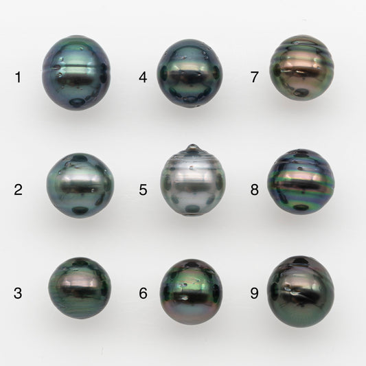 10-11mm Tahitian Pearl, Loose Undrilled with High Luster and for Jewelry Making, SKU # 2735TH