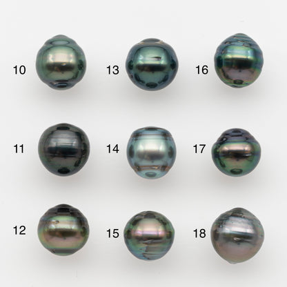 10-11mm Tahitian Pearl, Loose Undrilled with High Luster and for Jewelry Making, SKU # 2735TH