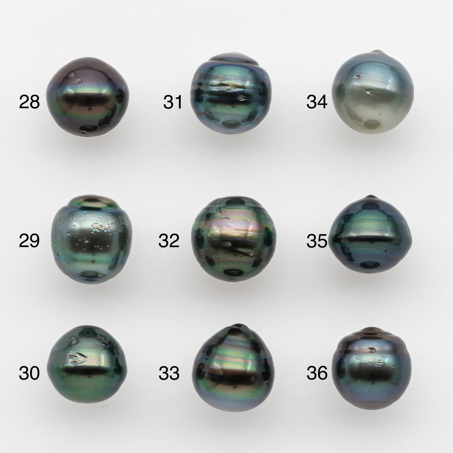 10-11mm Tahitian Pearl, Loose Undrilled with High Luster and for Jewelry Making, SKU # 2735TH