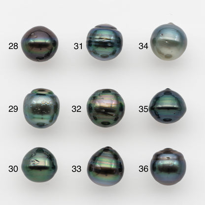 10-11mm Tahitian Pearl, Loose Undrilled with High Luster and for Jewelry Making, SKU # 2735TH