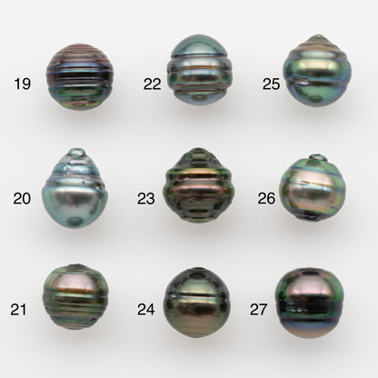 10-11mm Tahitian Pearl, Loose Undrilled with High Luster and for Jewelry Making, SKU # 2736TH