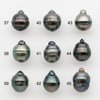10-11mm Tahitian Pearl, Loose Undrilled with High Luster and for Jewelry Making, SKU # 2736TH