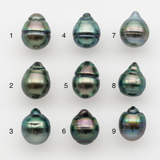 10-11mm Tahitian Pearl, Loose Undrilled with High Luster and for Jewelry Making, SKU # 2737TH