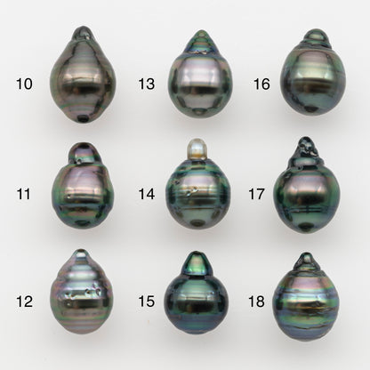 10-11mm Tahitian Pearl, Loose Undrilled with High Luster and for Jewelry Making, SKU # 2737TH