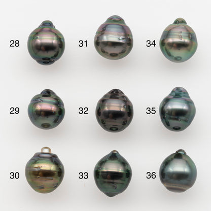 10-11mm Tahitian Pearl, Loose Undrilled with High Luster and for Jewelry Making, SKU # 2737TH
