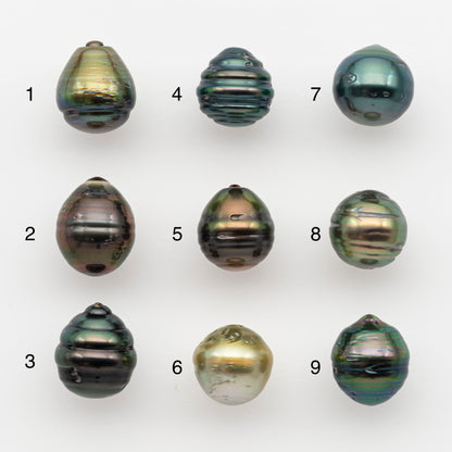 10-11mm Tahitian Pearl, Loose Undrilled with High Luster and for Jewelry Making, SKU # 2738TH