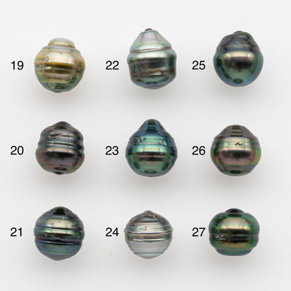 10-11mm Tahitian Pearl, Loose Undrilled with High Luster and for Jewelry Making, SKU # 2738TH