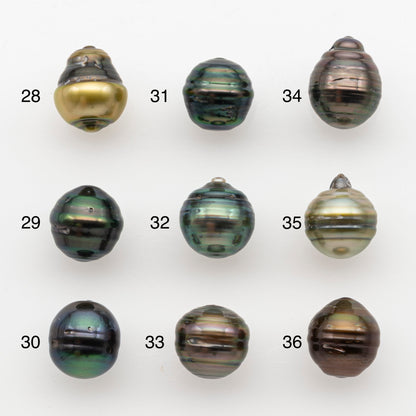 10-11mm Tahitian Pearl, Loose Undrilled with High Luster and for Jewelry Making, SKU # 2738TH