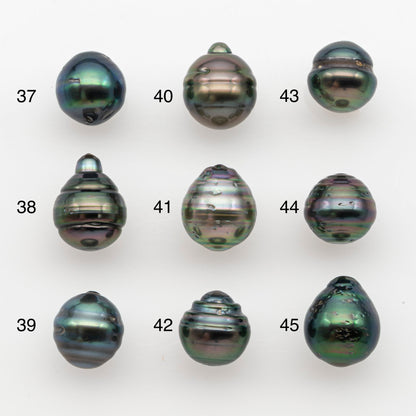 10-11mm Tahitian Pearl, Loose Undrilled with High Luster and for Jewelry Making, SKU # 2738TH