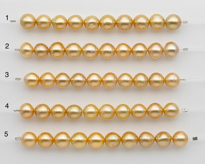 10-11mm Golden South Sea Pearl Near Round, Natural Color Pearls for Jewelry Making, Short Strand, SKU # 2739GS
