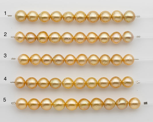10-11mm Golden South Sea Pearl Near Round, Natural Color Pearls for Jewelry Making, Short Strand, SKU # 2739GS