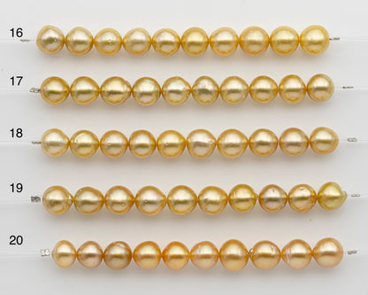 10-11mm Golden South Sea Pearl Near Round, Natural Color Pearls for Jewelry Making, Short Strand, SKU # 2739GS
