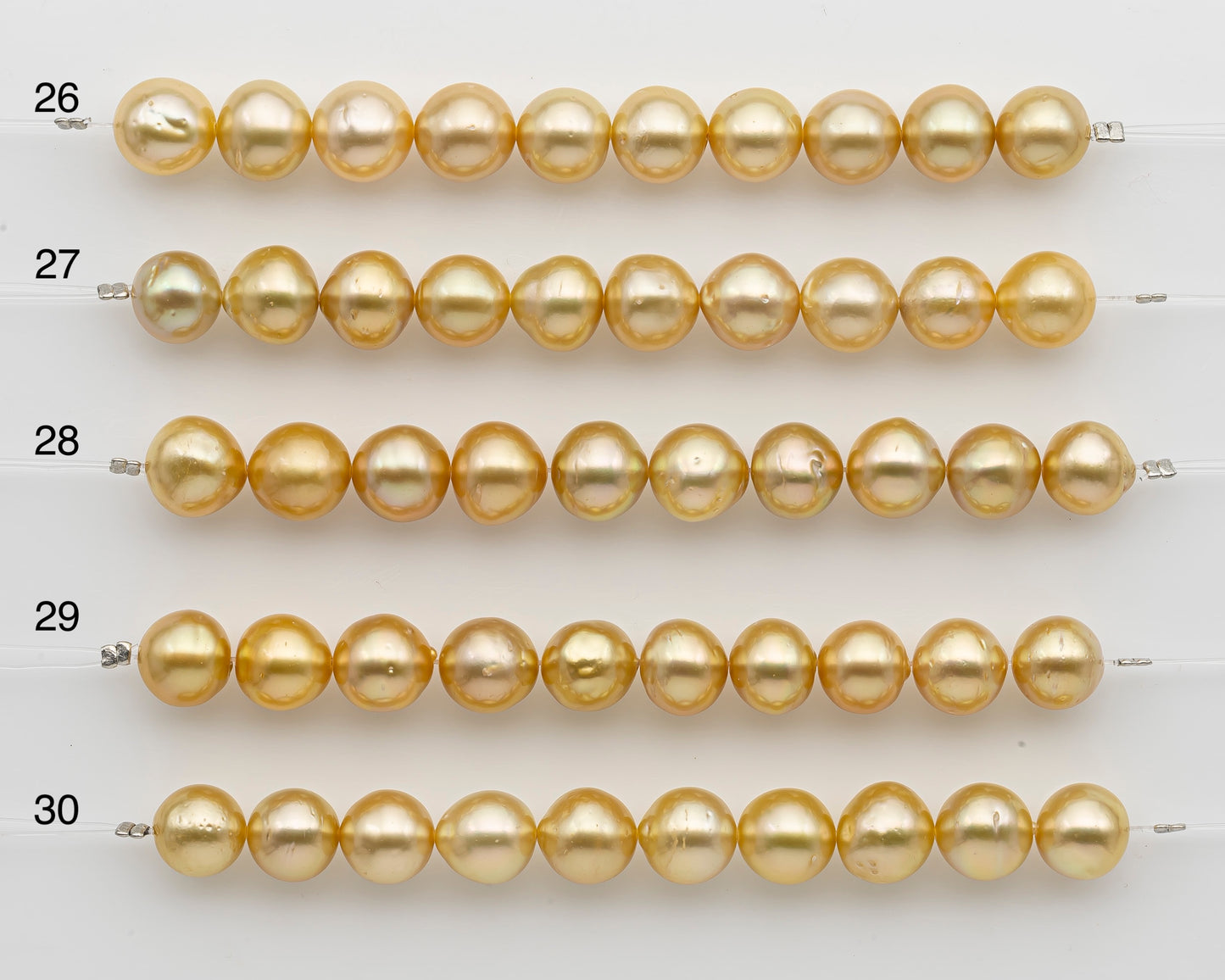 10-11mm Golden South Sea Pearl Near Round, Natural Color Pearls for Jewelry Making, Short Strand, SKU # 2739GS