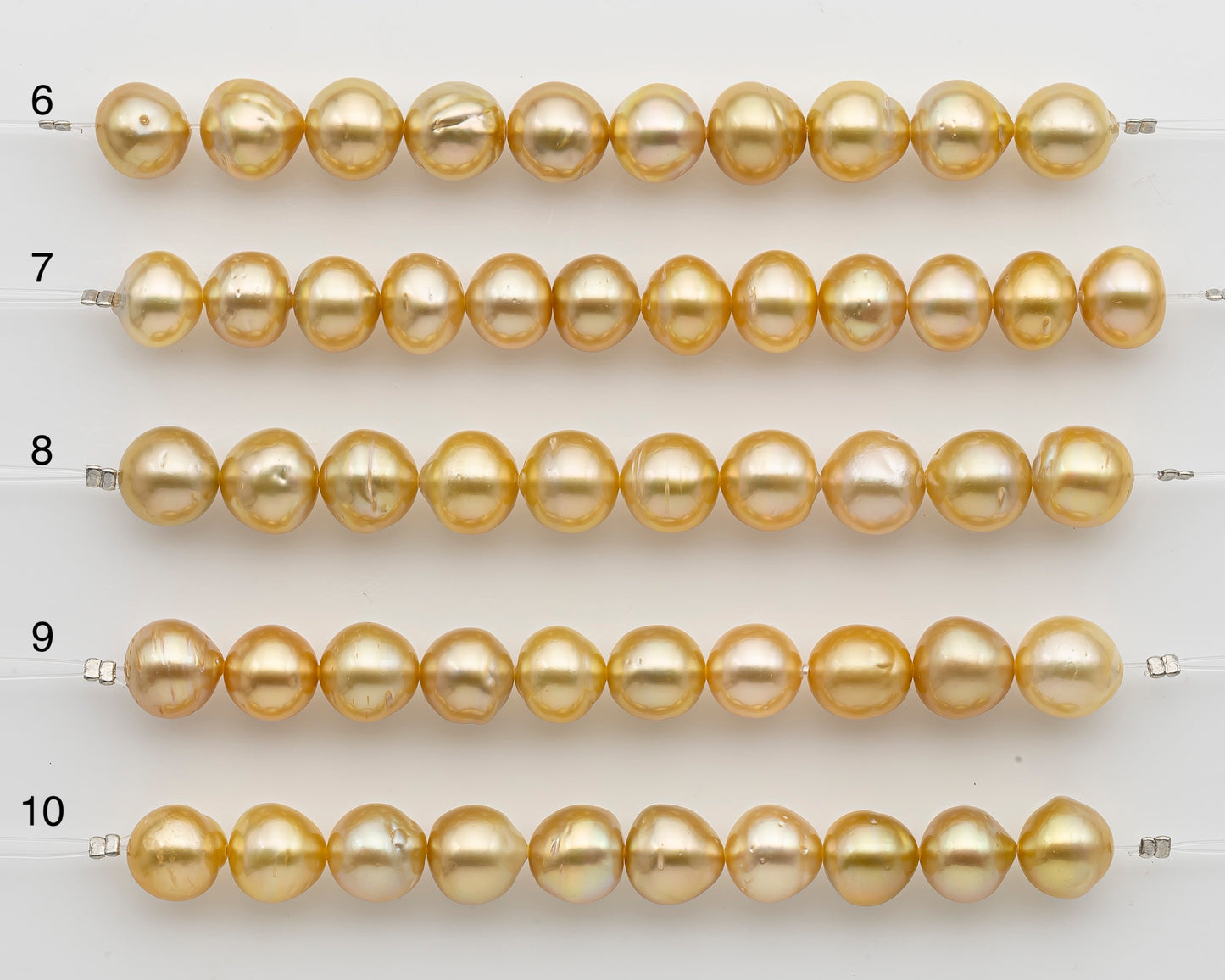 10-11mm Golden South Sea Pearl Near Round, Natural Color Pearls for Jewelry Making, Short Strand, SKU # 2740GS