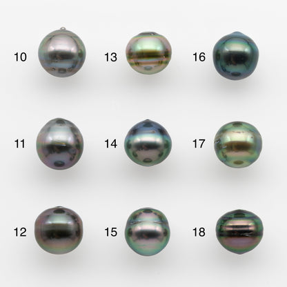 10-11mm Tahitian Pearl, Loose Undrilled with High Luster and for Jewelry Making, SKU # 2743TH