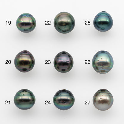 10-11mm Tahitian Pearl, Loose Undrilled with High Luster and for Jewelry Making, SKU # 2743TH