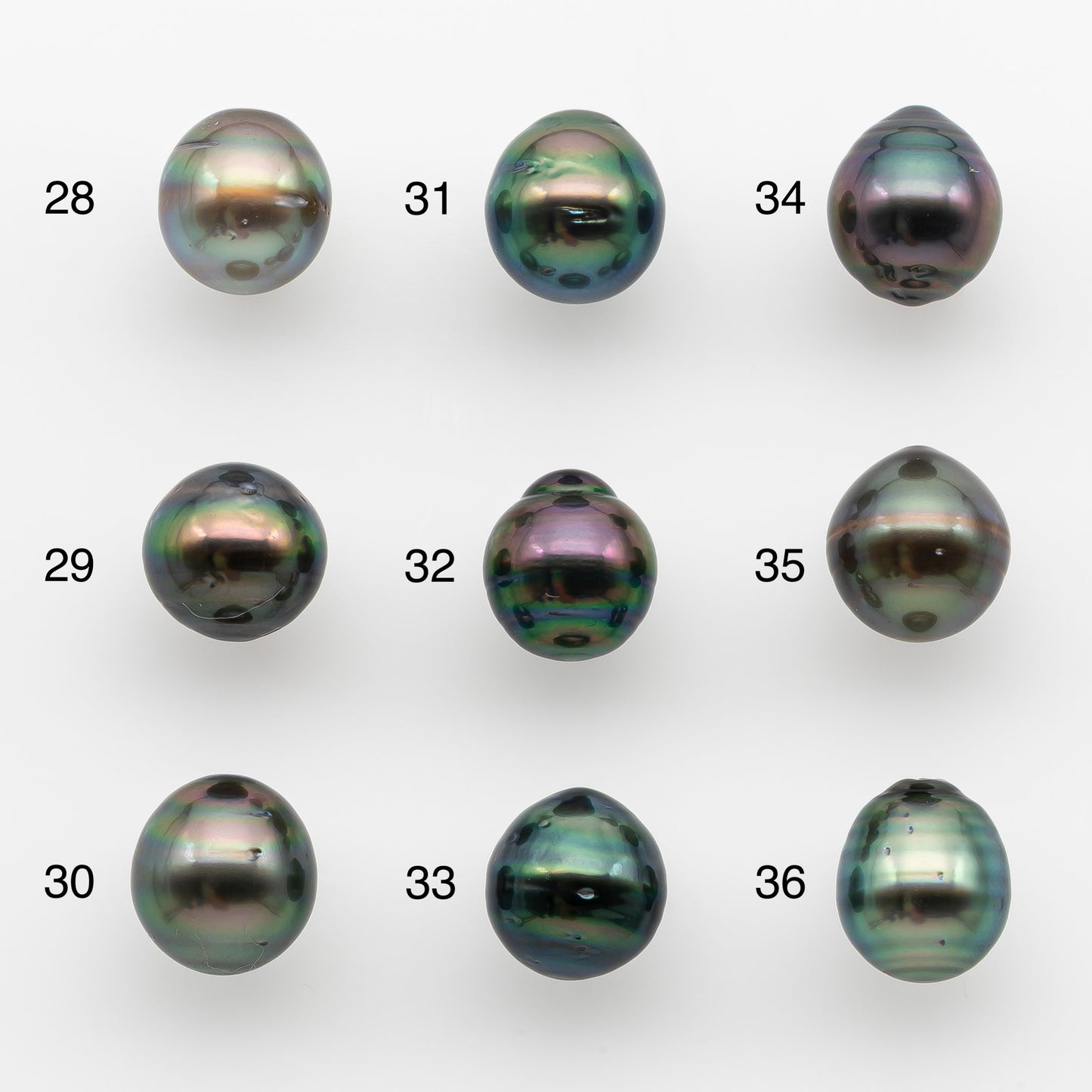 10-11mm Tahitian Pearl, Loose Undrilled with High Luster and for Jewelry Making, SKU # 2743TH