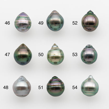 10-11mm Tahitian Pearl, Loose Undrilled with High Luster and for Jewelry Making, SKU # 2743TH