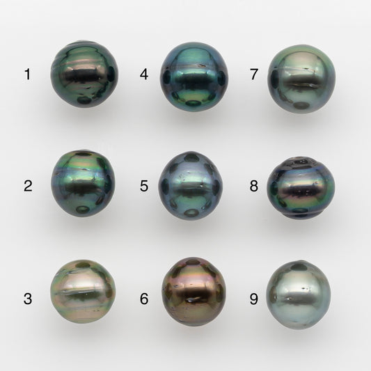 10-11mm Tahitian Pearl, Loose Undrilled with High Luster and for Jewelry Making, SKU # 2744TH