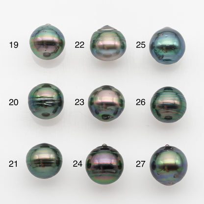 10-11mm Tahitian Pearl, Loose Undrilled with High Luster and for Jewelry Making, SKU # 2744TH