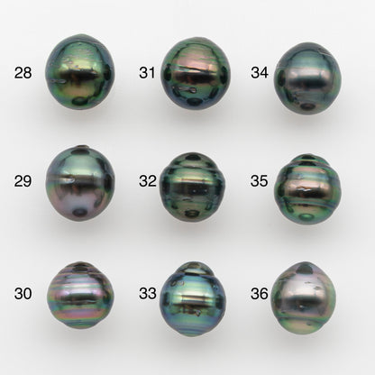 10-11mm Tahitian Pearl, Loose Undrilled with High Luster and for Jewelry Making, SKU # 2744TH