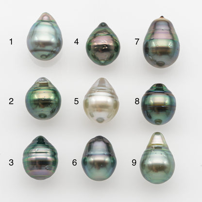 10-11mm Tahitian Pearl, Loose Undrilled with High Luster and for Jewelry Making, SKU # 2745TH