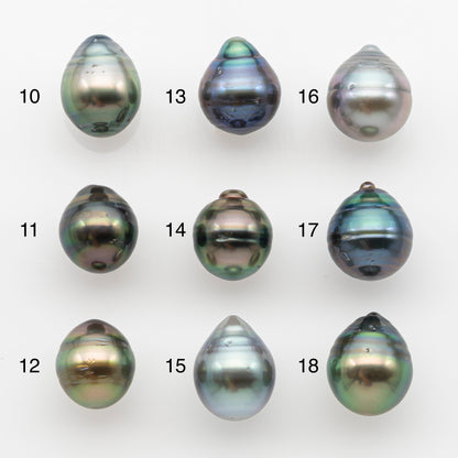 10-11mm Tahitian Pearl, Loose Undrilled with High Luster and for Jewelry Making, SKU # 2745TH
