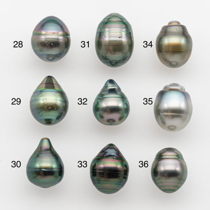 10-11mm Tahitian Pearl, Loose Undrilled with High Luster and for Jewelry Making, SKU # 2745TH