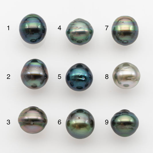 10-11mm Tahitian Pearl, Loose Undrilled with High Luster and for Jewelry Making, SKU # 2747TH